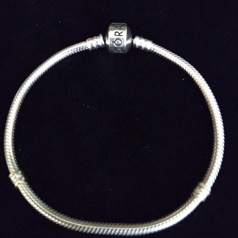 Pandora Charm Bracelet
